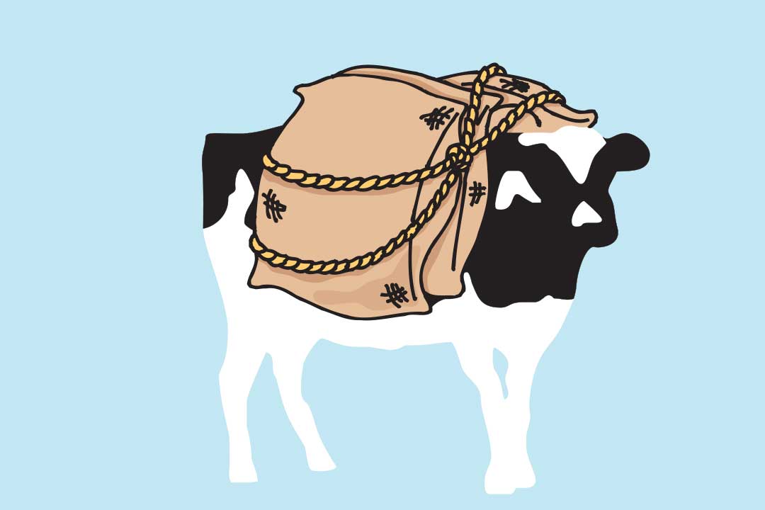 Woodie พร้อมถุงกระสอบบนหลัง